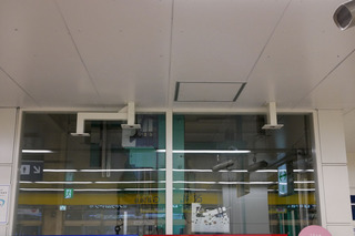 20170204-01.jpg
