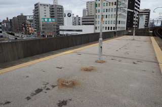 20190312-02.jpg
